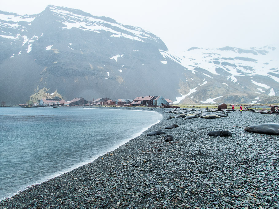 Stromness Bay - South Georgia