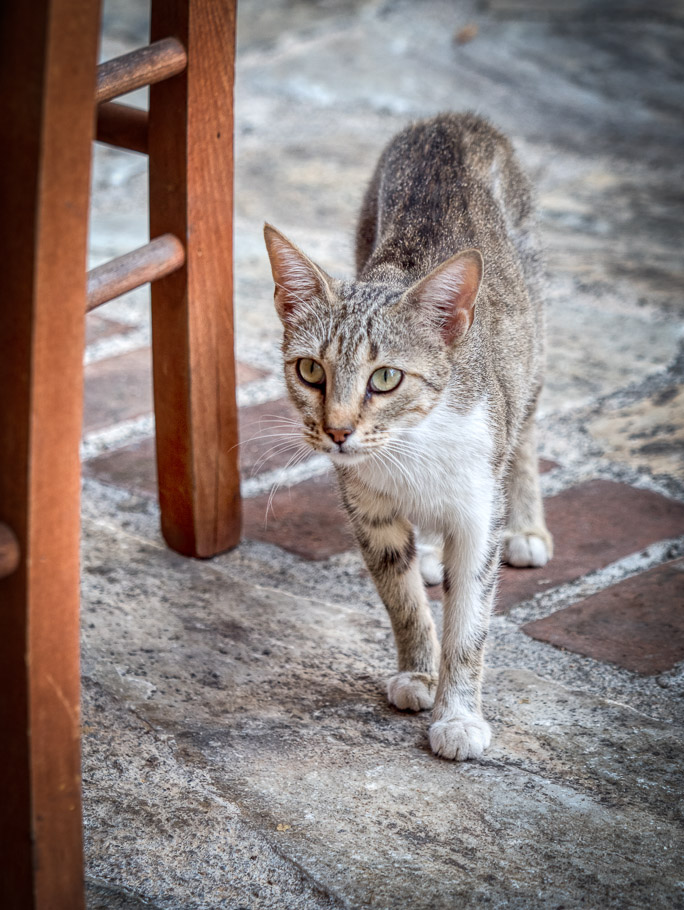 Nafplion, Prowling the Restaurants