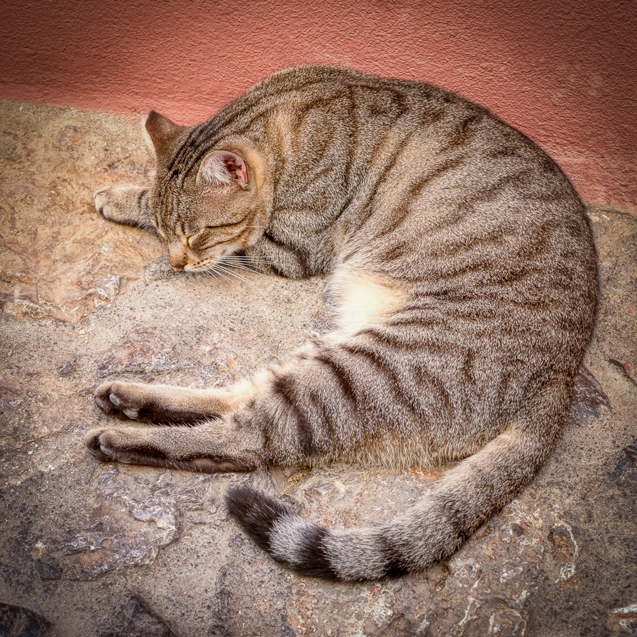 Monemvasia, Afternoon Nap